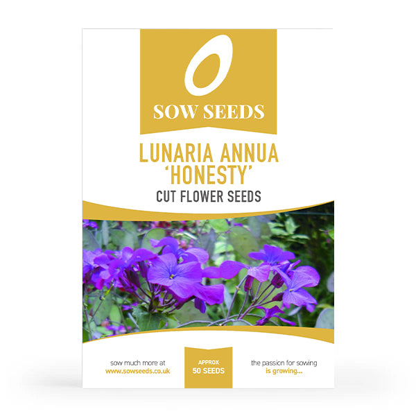 Lunaria Annua 'Honesty' Cut Flower Seeds