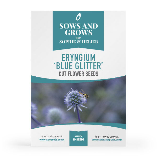 Eryngium 'Blue Glitter' Cut Flower Seeds