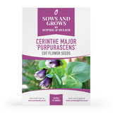 Cerinthe Major Purpurascens Cut Flower Seeds