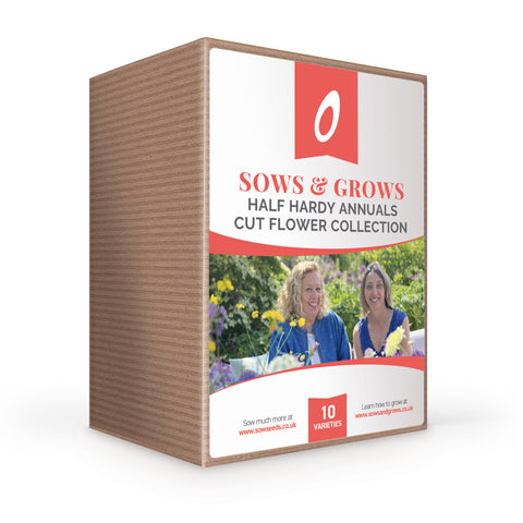 Sows & Grows 'Half Hardy Annuals' Cut Flower Collection Box