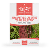 Amaranthus Caudatus 'Coral Fountain' Cut Flower Seeds