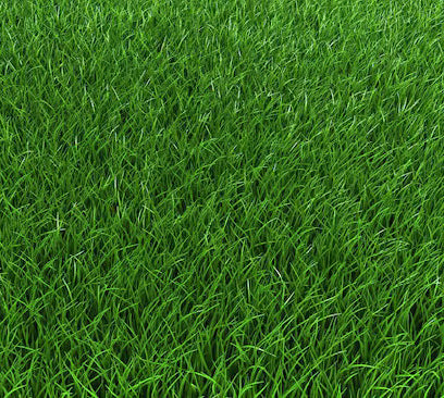 Grass