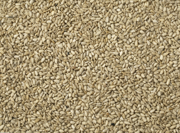 Sunflower Hearts for Wild Birds - 4kg
