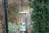 Miami Seed Feeder