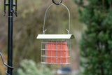 Miami Suet Block Feeder