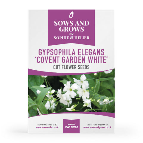 Gypsophila Elegans Covent Garden White Cut Flower Seeds