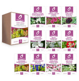 Hardy Annuals Cut Flower Collection Box