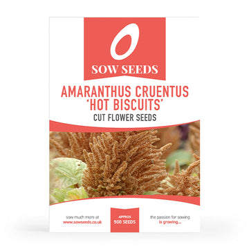 Amaranthus Cruentus 'Hot Biscuits' Cut Flower Seeds