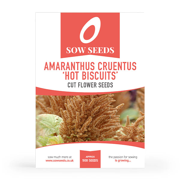 Amaranthus Cruentus 'Hot Biscuits' Cut Flower Seeds