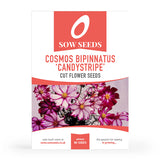 'Half Hardy Annuals' Cut Flower Collection Box