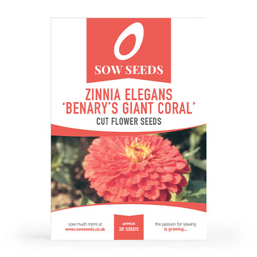 Zinnia Benary's Giant Coral Cut Flower Seeds