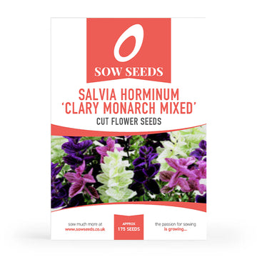 Salvia Horminum Clary Monarch Mixed Cut Flower Seeds