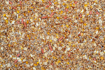 No Mess, No Grow Wild Bird Food 25.5Kg