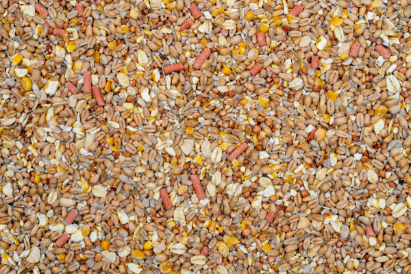 No Mess, No Grow Wild Bird Food 2Kg