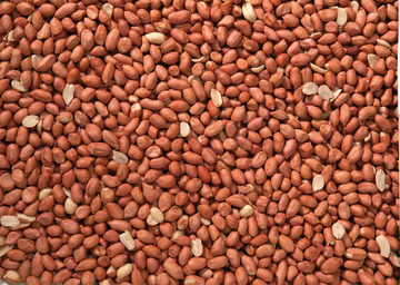 Peanuts Bird Food - 4kg