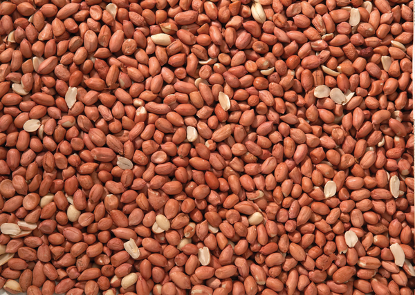 Peanuts Bird Food - 25.5Kg