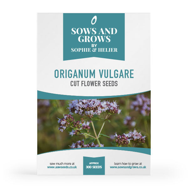 Origanum Vulgare Cut Flower Seeds
