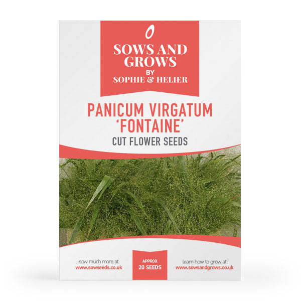 Panicum Virgatum Fontaine Cut Flower Seeds