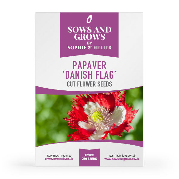cut flower seeds uk Papaver Danish Flag Cut Flower Seeds