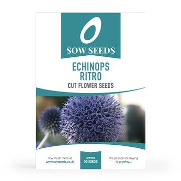 Echinops Ritro Cut Flower Seeds
