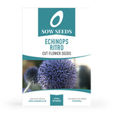 Echinops Ritro Cut Flower Seeds