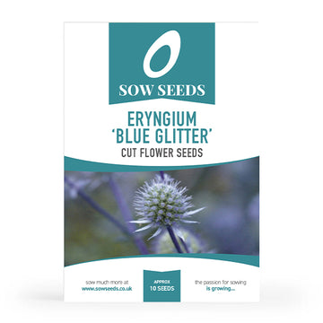 Eryngium 'Blue Glitter' Cut Flower Seeds
