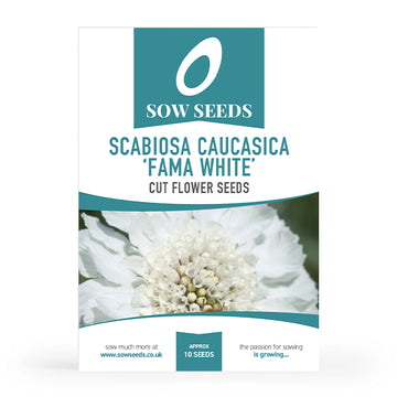Scabiosa Caucasica 'Fama White' Cut Flower Seeds