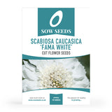 'The Perennials' Cut Flower Collection Box