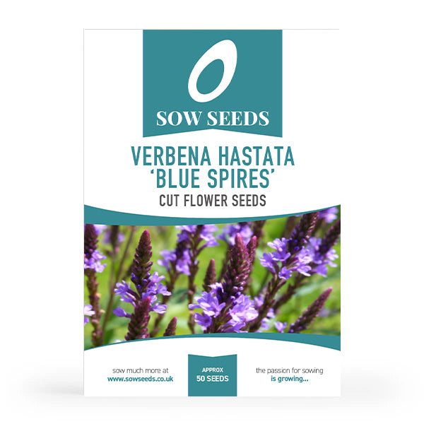 Verbena Hastata 'Blue Spires' Cut Flower Seeds