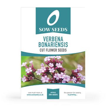Verbena Bonariensis Cut Flower Seeds