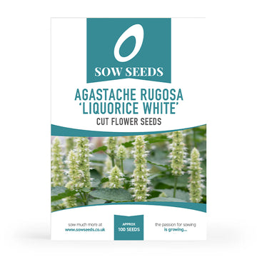 Agastache Rugosa 'Liquorice White' Cut Flower Seeds
