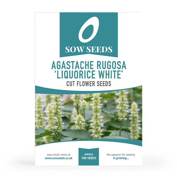 Agastache Rugosa 'Liquorice White' Cut Flower Seeds