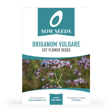 Origanum Vulgare Cut Flower Seeds