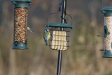 High Energy Suet Blocks Assorted - 6 Pack