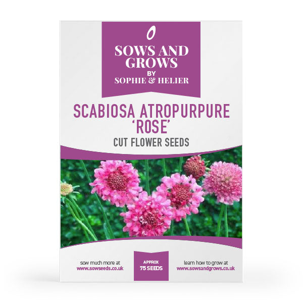 Scabiosa	Atropurpurea Rose Cut Flower Seeds