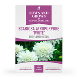 Scabiosa Atropurpurea White Cut Flower Seeds