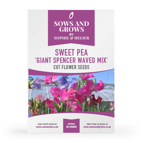 Sweet Pea Giant Spencer Waved Mix Cut Flower Seeds