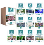 'The Perennials' Cut Flower Collection Box