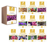 'The Biennials' Cut Flower Collection Box