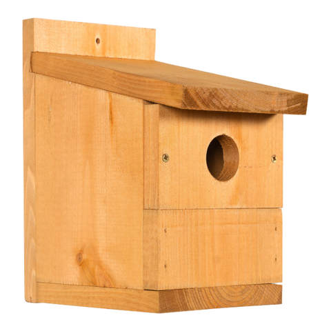 Bird Feeders & Boxes