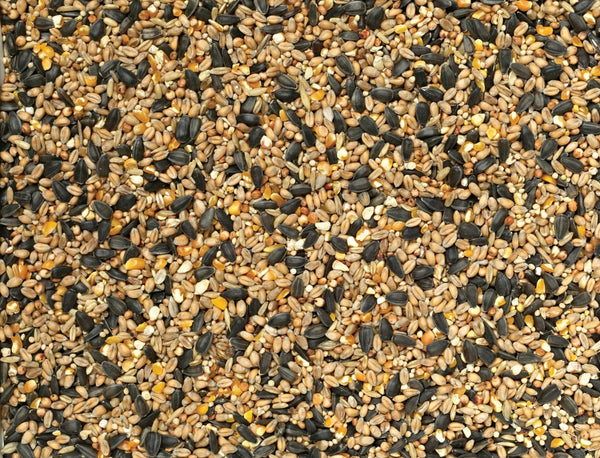 Selected Wild Bird Food - 4kg