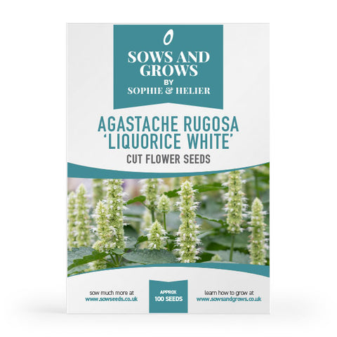 Agastache Rugosa 'Liquorice White' Cut Flower Seeds