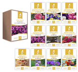 'The Biennials' Cut Flower Collection Box