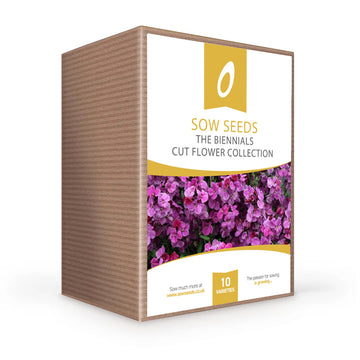 'The Biennials' Cut Flower Collection Box