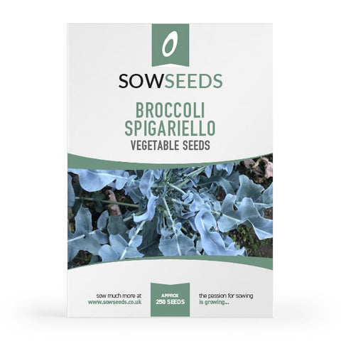 Broccoli Spigariello Seeds