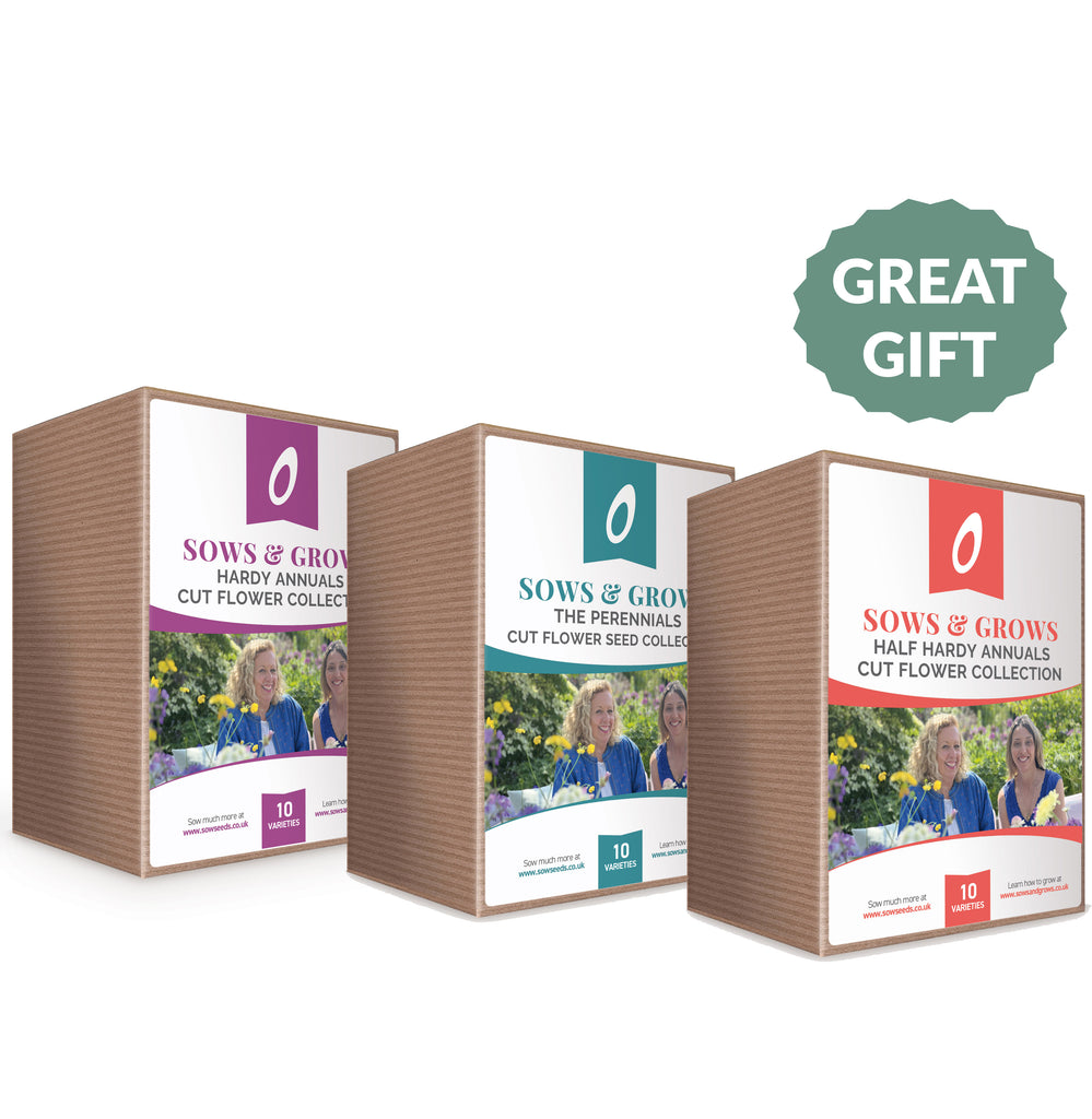cut flower seeds uk Cut Flower Gift Bundle