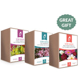 Cut Flower Gift Bundle