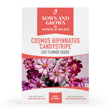 Cosmos Bipinnatus 'Candystripe' Cut Flower Seeds