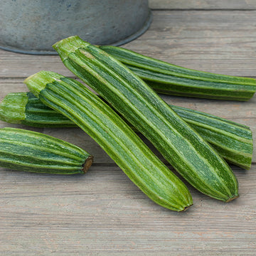 courgette latino f1 vegetable seeds