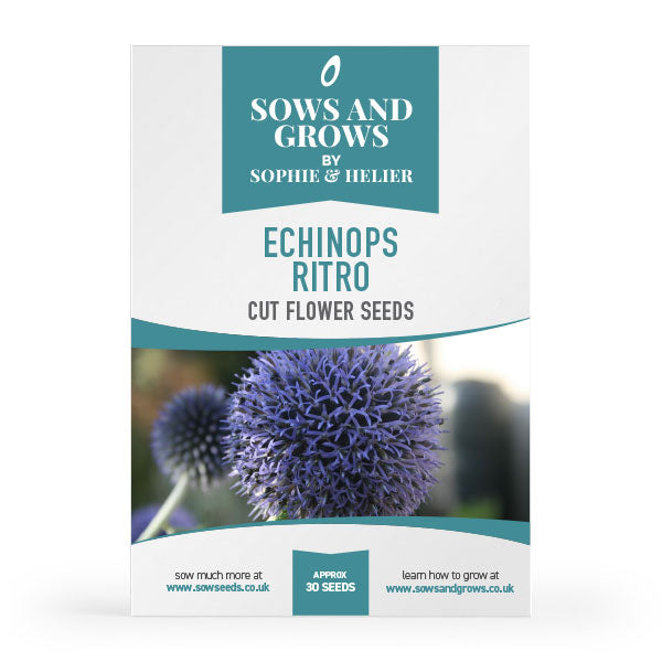 cut flower seeds uk Echinops Ritro Cut Flower Seeds